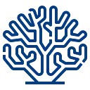 Coral AI
